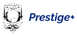 otel727prestige.ru